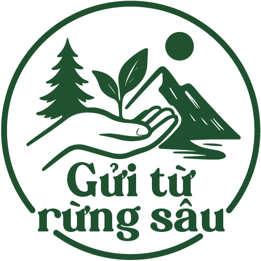 GỬI TỪ RỪNG SÂU